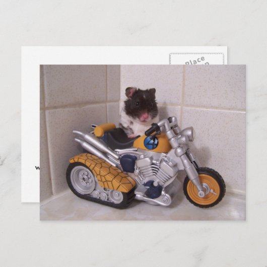 Carte Postale cycle noah (Devant / Derrière)