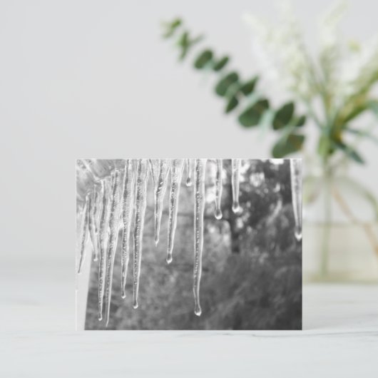 Carte Postale Cycles de glace (Debout devant)