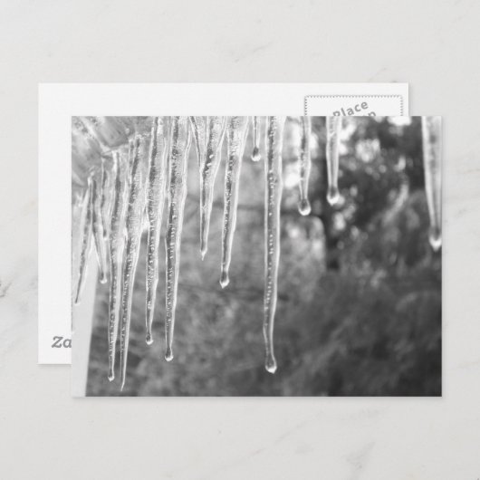 Carte Postale Cycles de glace (Devant / Derrière)