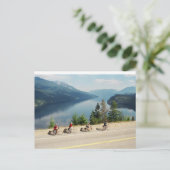 Carte Postale Cyclisme le long de l'autoroute 6 - Slocan Lk - Co (Debout devant)