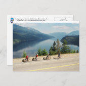 Carte Postale Cyclisme le long de l'autoroute 6 - Slocan Lk - Co (Devant / Derrière)