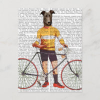 Cycliste Greyhound