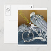 Carte Postale Cyclocactacées (Devant / Derrière)