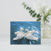 Carte postale cygne (Debout devant)