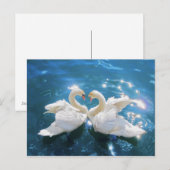 Carte postale cygne (Devant / Derrière)