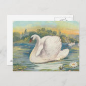 Carte Postale Cygne (Devant / Derrière)