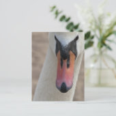 Carte Postale Cygne (Debout devant)