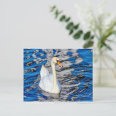 Carte Postale Cygne avec réflexions (Debout devant)