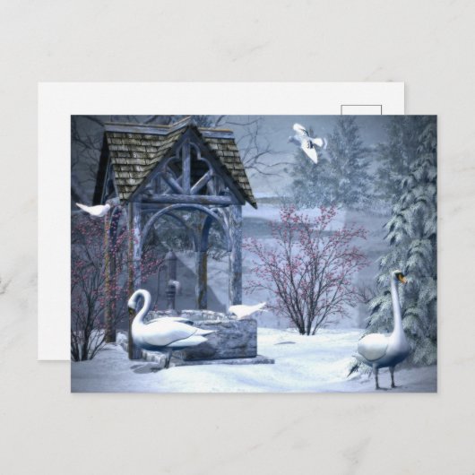 Carte Postale Cygne Blanc En Neige Noël Hiver (Devant / Derrière)
