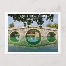 Cygne blanc sous le pont en arc