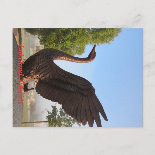 Carte Postale Cygne en vol Lakeland, Floride (Devant)