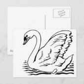 Carte Postale Cygne gracieux (Devant / Derrière)