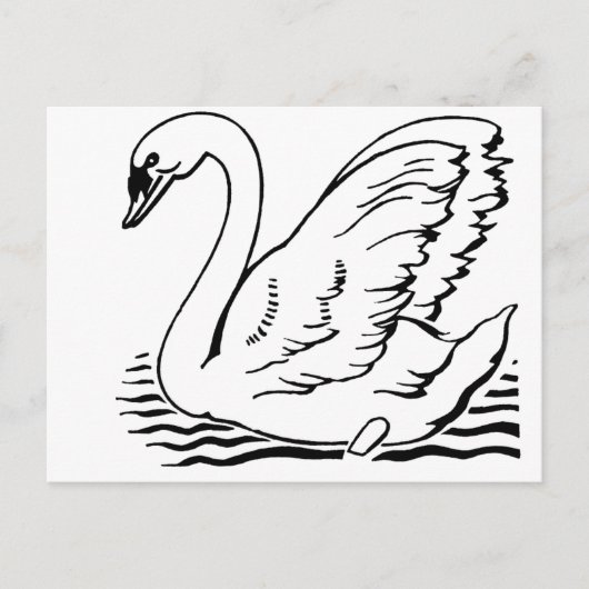 Carte Postale Cygne gracieux (Devant)