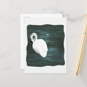 Carte Postale Cygne sur l'étang