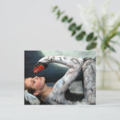 Carte Postale Cygne swan leda postcard (Debout devant)