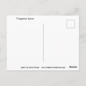 Carte postale Cygne trompette (Dos)