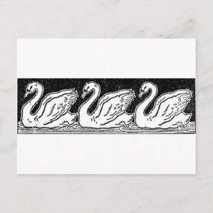 Carte Postale Cygnes