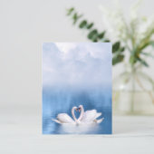 Carte postale Cygnes blancs (Debout devant)