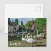 Carte Postale Cygnes blancs dans le centre de Bruges (Devant / Derrière)