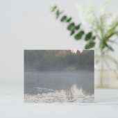 Carte Postale cygnes dans le brouillard (Debout devant)