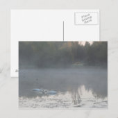 Carte Postale cygnes dans le brouillard (Devant / Derrière)