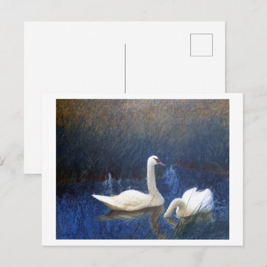 Carte Postale Cygnes en roseaux, Bruno Liljefors (Devant / Derrière)
