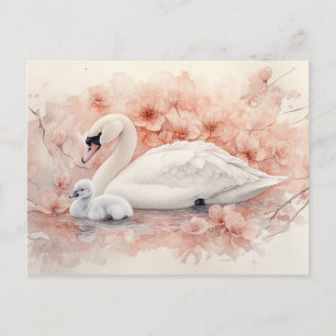 Carte Postale Cygnet cygne cygne et fleurs roses blanches
