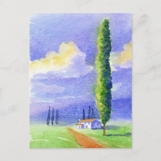 Carte Postale Cypress (Devant)