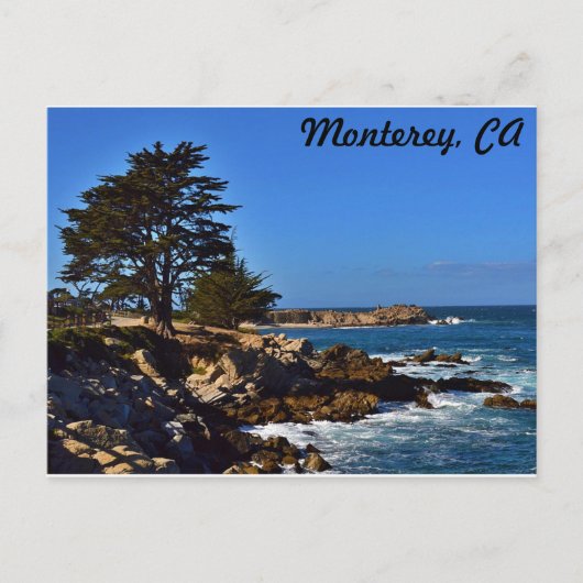 Carte Postale Cypress à Monterey (Devant)