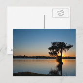 Carte Postale Cypress au coucher du soleil (Devant / Derrière)