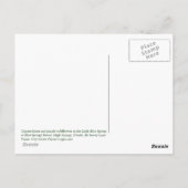 Carte postale Cypress Knees (Dos)