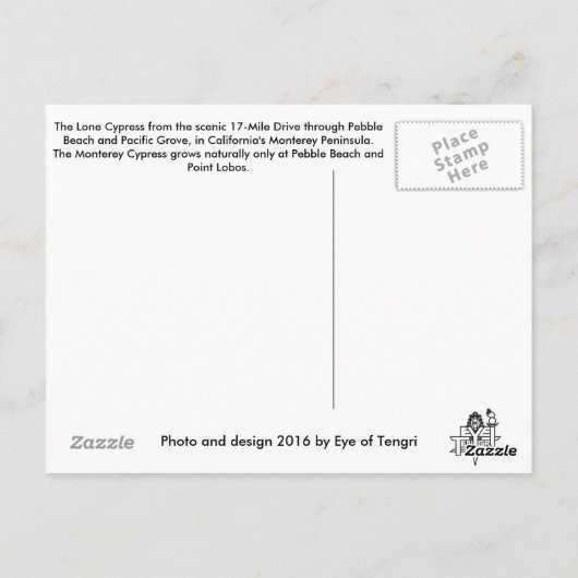 Carte Postale Cypress Lone (Dos)