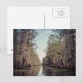 Carte Postale Cypress Marécage : Louisiane (Devant / Derrière)