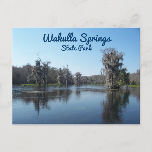 Carte Postale Cypress Trees au parc d'état de Wakulla Springs (Devant)