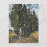 Carte Postale Cypress Trees par Van Gogh<br><div class="desc">Vincent Van Gogh Série de peinture paysagère - Cypress Trees</div>