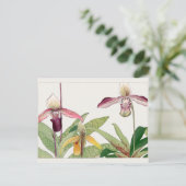 Carte Postale Cypripedium par Tanigami Konan (Debout devant)