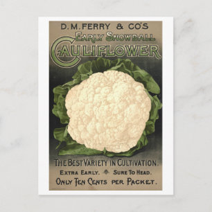 Carte Postale D. M. Ferry & Co. Cauliflower Seed Advertising