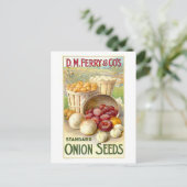 Carte Postale D. M. Ferry & Co. Publicité des semences d'oignon  (Debout devant)