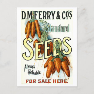 Carte Postale D.M. Ferry Vintage Carrot semence Annonce