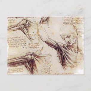 Carte Postale da Vinci -- Croquis d'épaule
