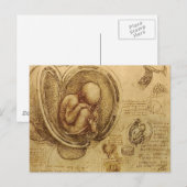 Carte Postale da Vinci - Croquis Embryo (Devant / Derrière)
