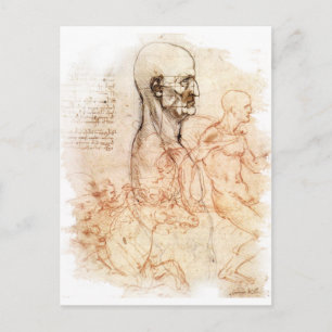 Carte Postale da Vinci — Croquis homme et cheval
