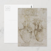 Carte Postale Da Vinci : des croquis d'anatomie du coeur humain (Devant / Derrière)