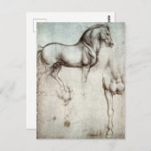 Carte Postale Da Vinci Horse Study Renaissance Sketch Art (Devant / Derrière)