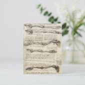 Carte Postale Da Vinci, Léonard - Étude de l'anatomie (Debout devant)