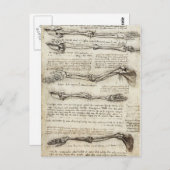 Carte Postale Da Vinci, Léonard - Étude de l'anatomie (Devant / Derrière)