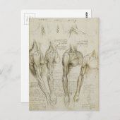 Carte Postale Da Vinci : Skeleton humain Anatomy Sketches (Devant / Derrière)