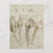 Carte Postale Da Vinci : Skeleton humain Anatomy Sketches (Devant)