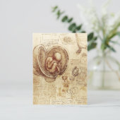 Carte Postale Da Vinci's Studies of embryos (Debout devant)