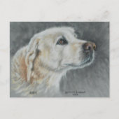 Carte postale d'Abby (Devant)